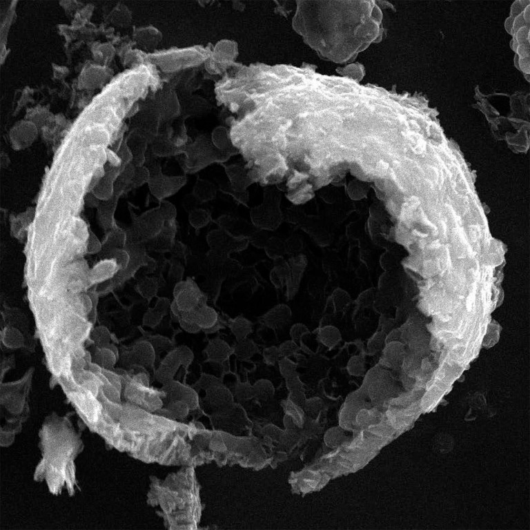 A Hidden Treasure in Bacteria